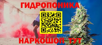 мдпв Ливны