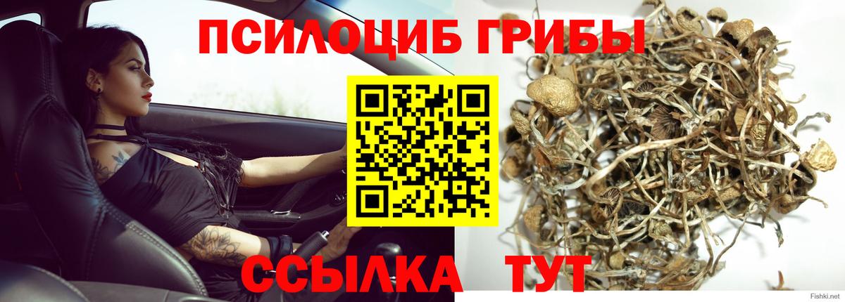 Псилоцибиновые грибы Psilocybine cubensis  Галлюциногенные грибы мухоморы  Вход с VPN  Каменск-Уральский 
